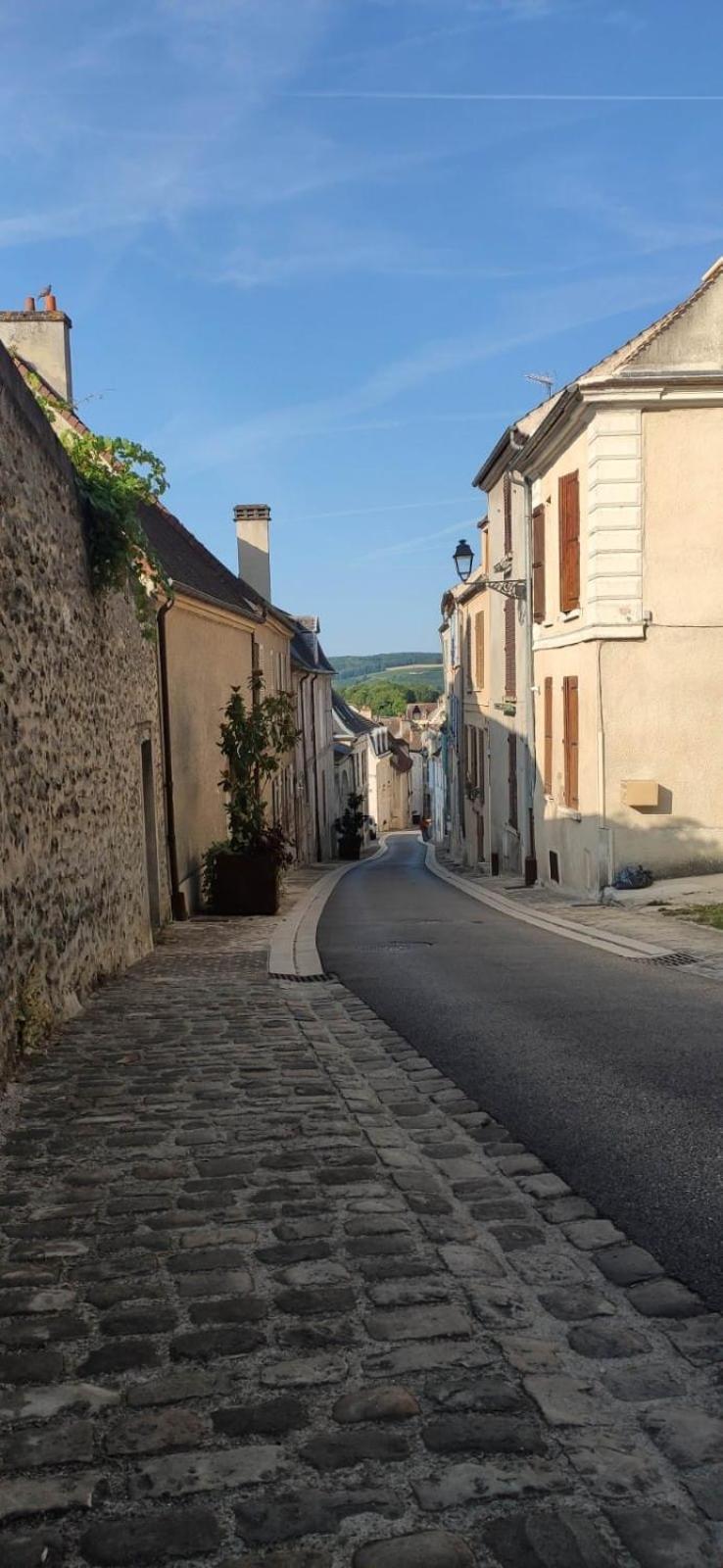 Esope By Kleidos-Ravissant T2 En Plein Centre De Château-Thierry Exteriér fotografie
